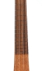 Neck